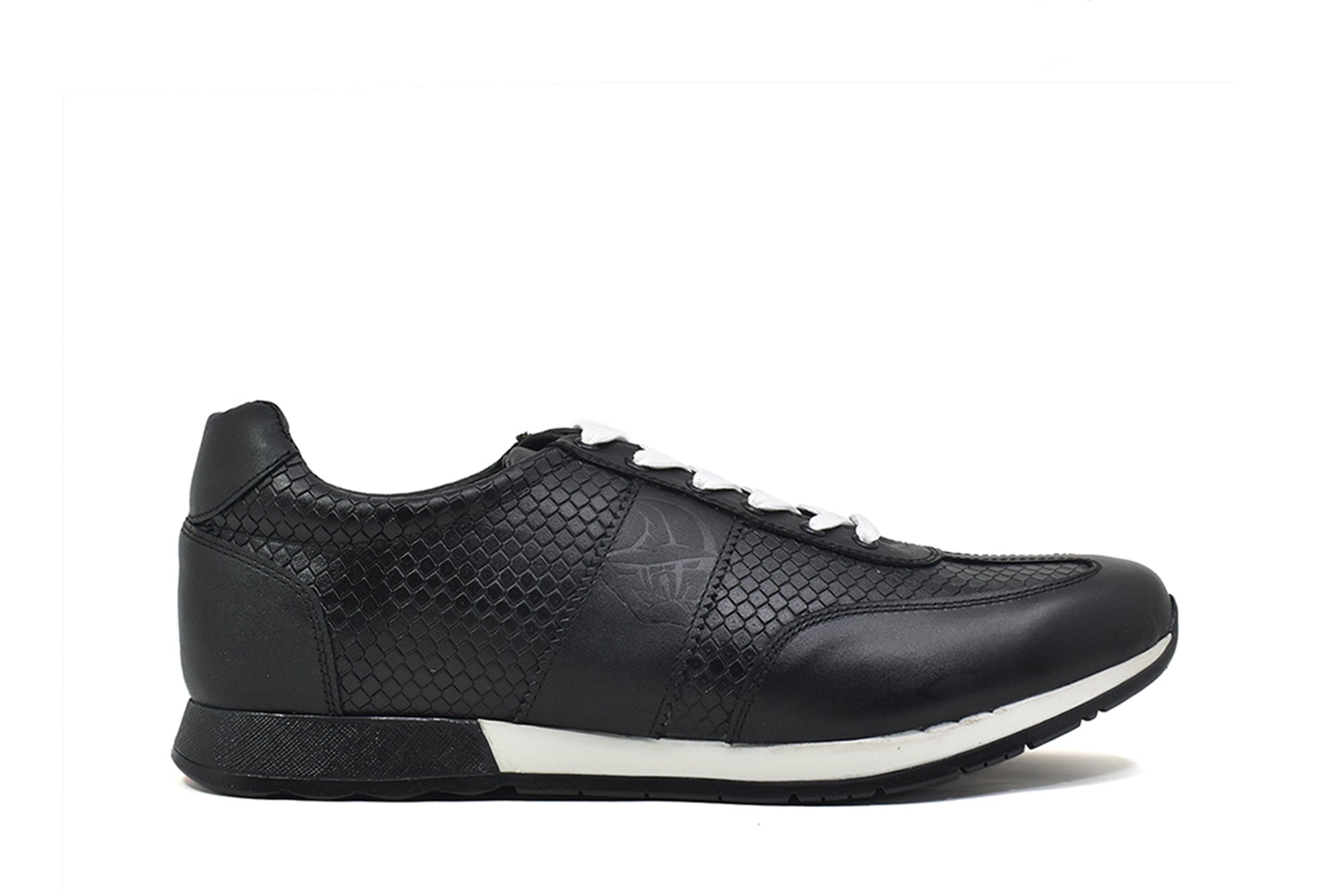 2503 NEGRO